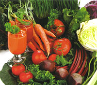 Vegetable juicer