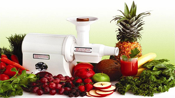 Champion 2000+ Juicer vegetable juicer, fruit juicer, juice extractor,  wheat rye grinder, flour corn mill